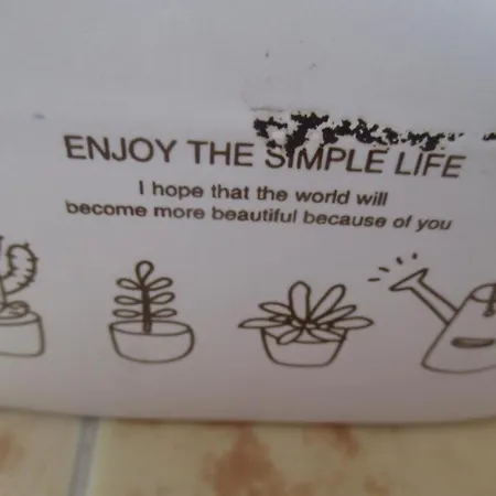 Antonio Augusto Lejlighed